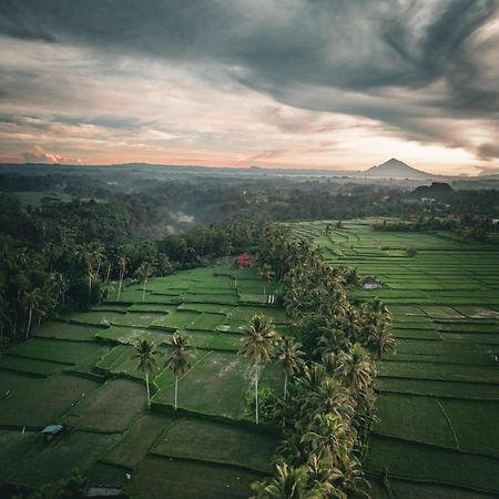 Ayu Duwur Beji Hotel Ubud  Exterior photo