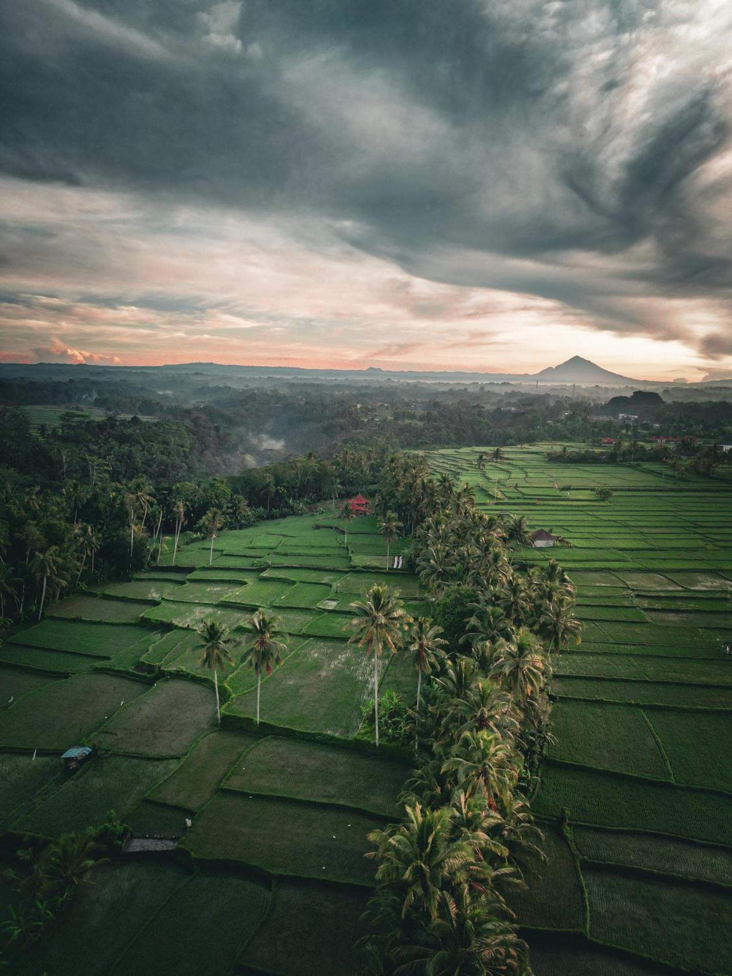 Ayu Duwur Beji Hotel Ubud  Exterior photo