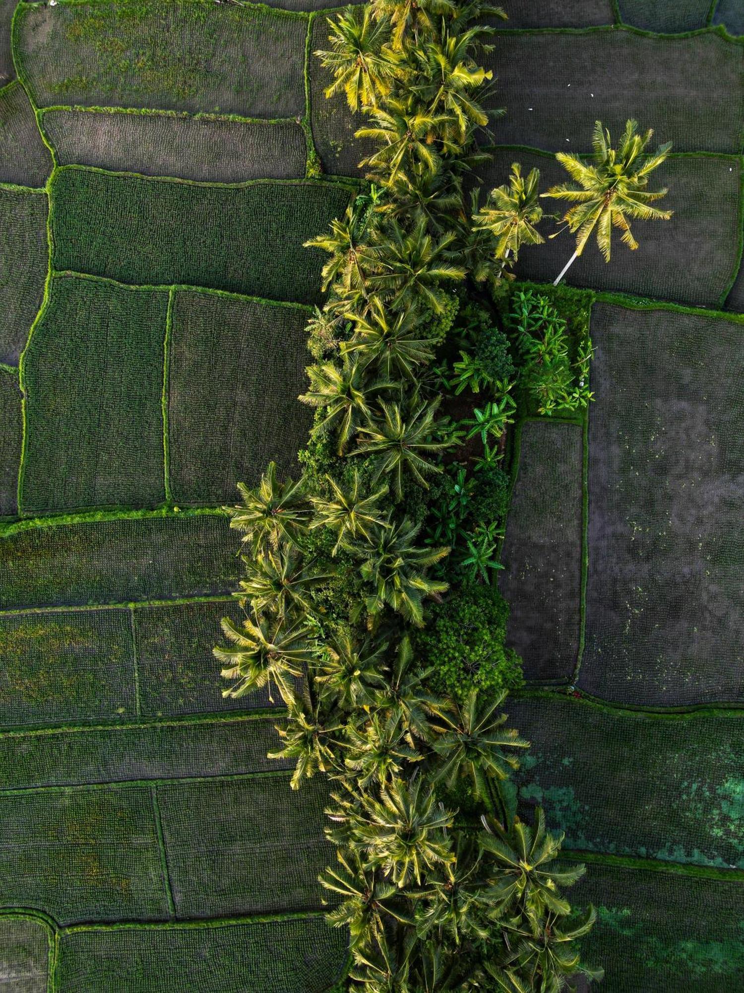 Ayu Duwur Beji Hotel Ubud  Exterior photo